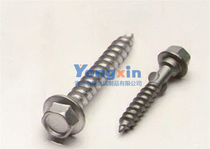 Bolts & Screws 