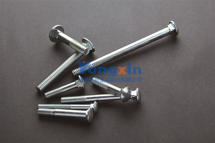 Bolts & Screws 