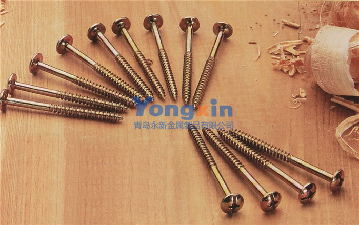 Bolts & Screws 