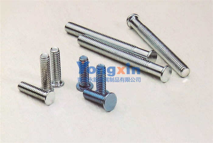 Bolts & Screws 