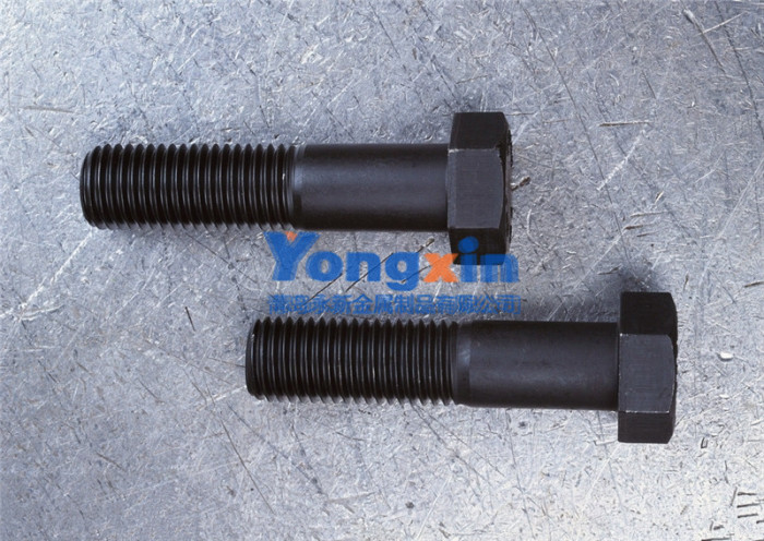 Bolts & Screws 