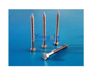 Self-Taping Screws