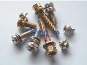 Assembled Screws