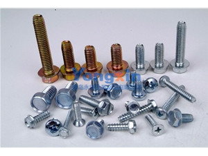 Bolts & Screws 